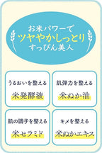 Ishizawa-Lab - Keana Rice Mask 10 pcs
