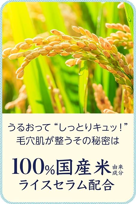 Ishizawa-Lab - Keana Rice Mask 10 pcs