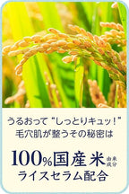 Ishizawa-Lab - Keana Rice Mask 10 pcs